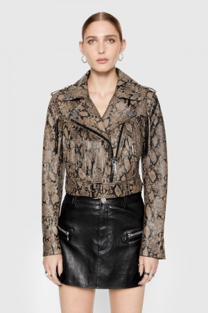 Rebecca Minkoff Janis Python Fringe Moto Donna Leather Python Printed Foil | YUTNC-7158
