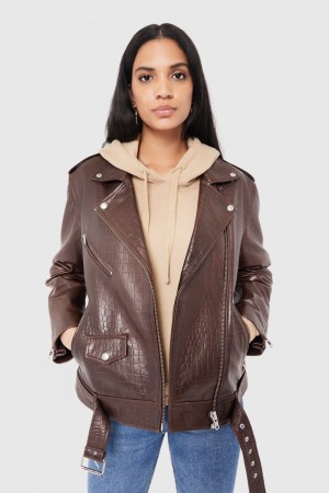 Rebecca Minkoff Tabitha Moto Donna Leather Espresso | ECTNB-5081